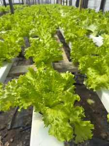 Hugo Garay visitó la chacra de Lucio Gómez para fortalecer el acompañamiento a la producción local