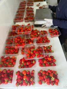 Hugo Garay visitó la chacra de Lucio Gómez para fortalecer el acompañamiento a la producción local