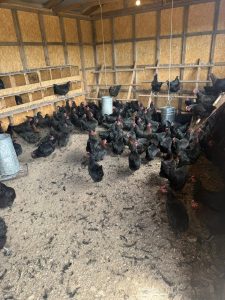 Hugo Garay visitó la chacra de Lucio Gómez para fortalecer el acompañamiento a la producción local