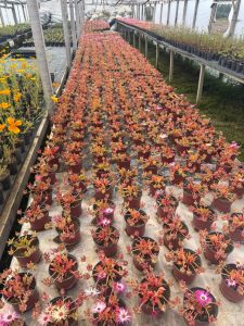 Hugo Garay visitó la chacra de Lucio Gómez para fortalecer el acompañamiento a la producción local