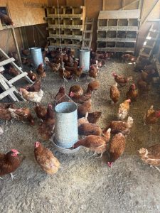 Hugo Garay visitó la chacra de Lucio Gómez para fortalecer el acompañamiento a la producción local