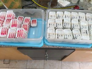 Fortalecen el trabajo de Narcocriminalidad en Santa Cruz