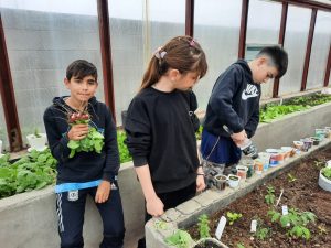 Ambiente acompaña a 6 instituciones de Santa Cruz en la participación del Proyecto 100 Huertas