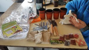 Ambiente acompaña a 6 instituciones de Santa Cruz en la participación del Proyecto 100 Huertas