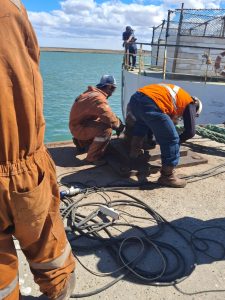 Concluyeron los trabajos de mantenimiento en el puerto de Puerto Deseado