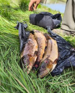 Pesca Continental: se llevó adelante operativo de fiscalización en Puente Blanco