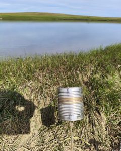 Pesca Continental: se llevó adelante operativo de fiscalización en Puente Blanco