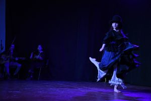 La Escuela Provincial de Danzas presentó su muestra anual de Malambo