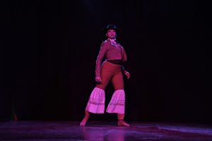 La Escuela Provincial de Danzas presentó su muestra anual de Malambo