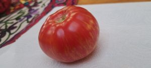 El Consejo Agrario Provincial en Los Antiguos: recorrió el proyecto hortícola de Sebastián Martins