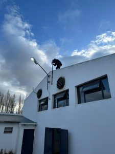 Servicios Públicos fortalece la conectividad y moderniza la infraestructura tecnológica en El Calafate