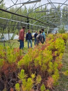 El  CAP acompaña la producción forrajera en Los Antiguos
