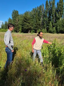 El  CAP acompaña la producción forrajera en Los Antiguos