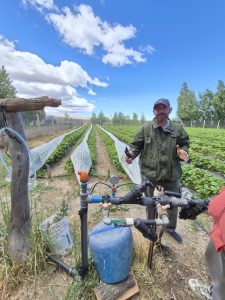 Agenda territorial: El Consejo Agrario Provincial visitó proyecto de producción de frutilla en Perito Moreno