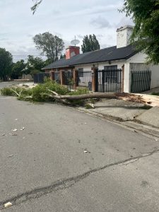 Temporal de viento: Servicios Públicos se encuentra atendiendo las demandas