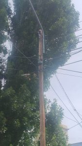 Temporal de viento: Servicios Públicos se encuentra atendiendo las demandas