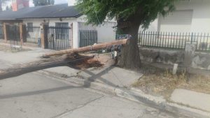 Temporal de viento: Servicios Públicos se encuentra atendiendo las demandas