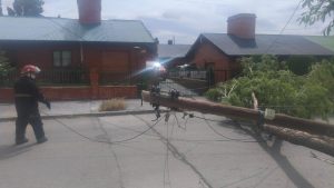 Temporal de viento: Servicios Públicos se encuentra atendiendo las demandas