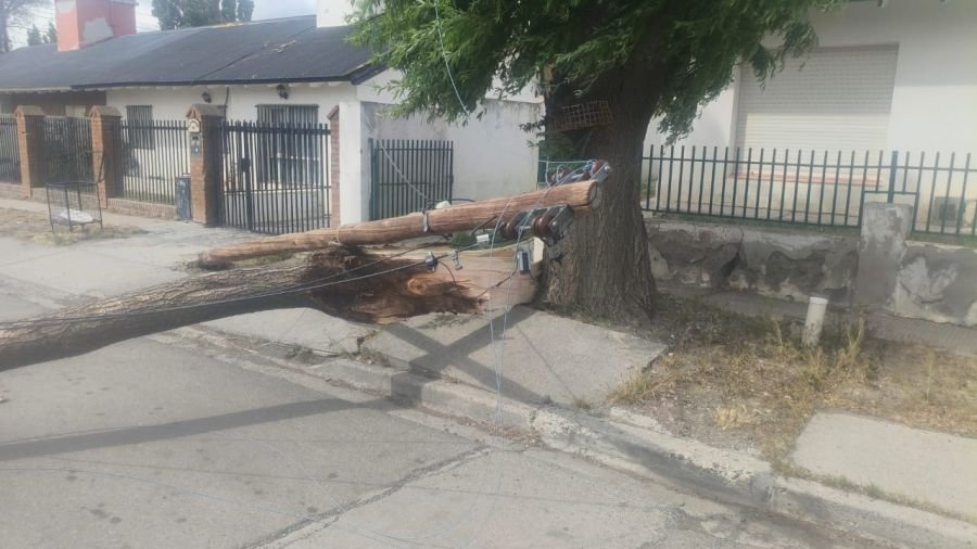 Temporal de viento: Servicios Públicos se encuentra atendiendo las demandas