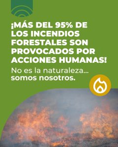Alerta por sequía: reforzamos las medidas para prevenir incendios en Santa Cruz