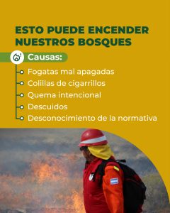 Alerta por sequía: reforzamos las medidas para prevenir incendios en Santa Cruz