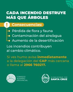 Alerta por sequía: reforzamos las medidas para prevenir incendios en Santa Cruz