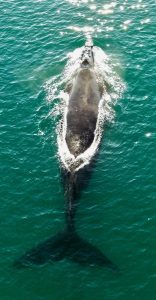 Se realizó el examen final de guías de turismo en Caleta Olivia