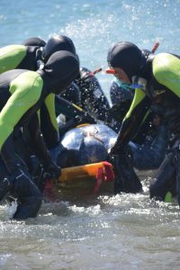 Se realizó el examen final de guías de turismo en Caleta Olivia