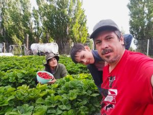 El Consejo Agrario acompaña el trabajo de los productores de Perito Moreno