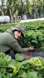 El Consejo Agrario acompaña el trabajo de los productores de Perito Moreno