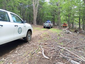 El CAP y Seguridad fortalecen fiscalización y manejo responsable de bosques nativos en Río Turbio