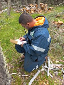El CAP y Seguridad fortalecen fiscalización y manejo responsable de bosques nativos en Río Turbio