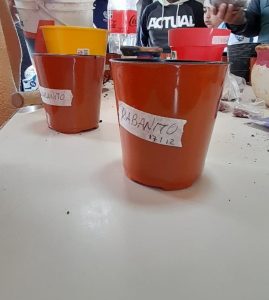 Ambiente cerró el ciclo del “Proyecto 100 Huertas” con un taller integrador en la Asociación I Yenú Jono