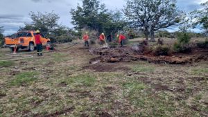 El CAP intervino ante un incendio forestal en Río Turbio