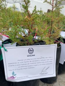 El CAP entregó 610 plantines en la jornada “Sembrando Futuro” en Casa de Gobierno