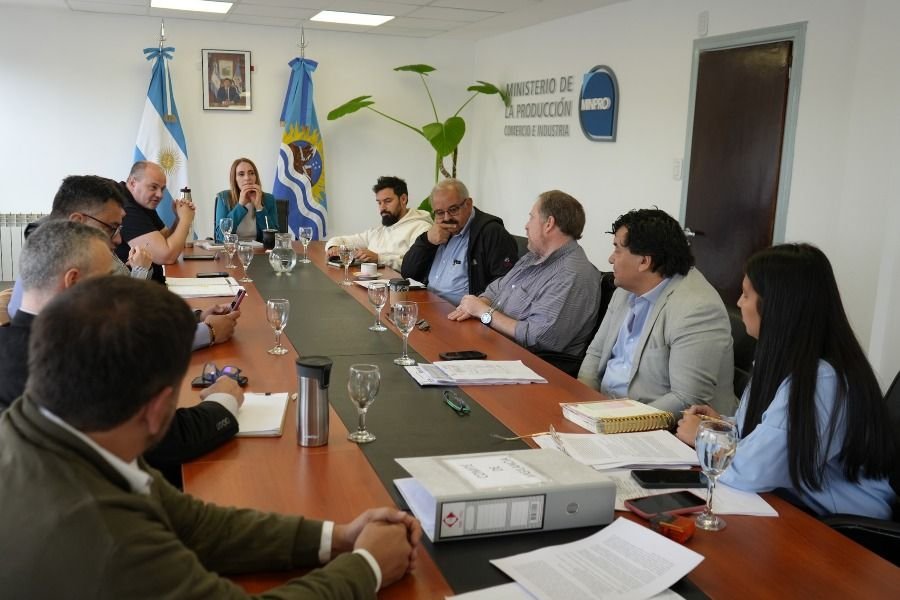 El Comité de Vigilancia de Zonas Francas cerró el año con una nueva reunión en Río Gallegos