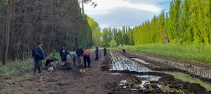 Estudiantes de Los Antiguos realizaron prácticas profesionalizantes en el Vivero Forestal del CAP