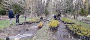 Estudiantes de Los Antiguos realizaron prácticas profesionalizantes en el Vivero Forestal del CAP