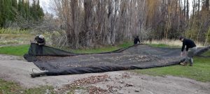 Estudiantes de Los Antiguos realizaron prácticas profesionalizantes en el Vivero Forestal del CAP