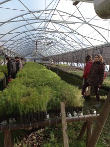 Estudiantes de Los Antiguos realizaron prácticas profesionalizantes en el Vivero Forestal del CAP