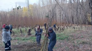 Estudiantes de Los Antiguos realizaron prácticas profesionalizantes en el Vivero Forestal del CAP