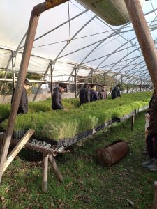 Estudiantes de Los Antiguos realizaron prácticas profesionalizantes en el Vivero Forestal del CAP
