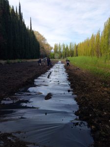 Estudiantes de Los Antiguos realizaron prácticas profesionalizantes en el Vivero Forestal del CAP