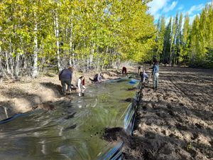 Estudiantes de Los Antiguos realizaron prácticas profesionalizantes en el Vivero Forestal del CAP