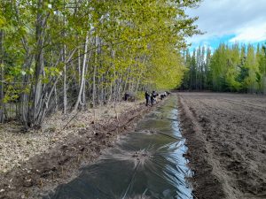 Estudiantes de Los Antiguos realizaron prácticas profesionalizantes en el Vivero Forestal del CAP