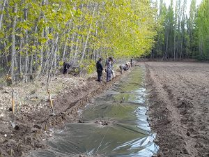 Estudiantes de Los Antiguos realizaron prácticas profesionalizantes en el Vivero Forestal del CAP