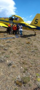 Incendio en el Parque Nacional Los Glaciares: se suma el avión hidrante al operativo