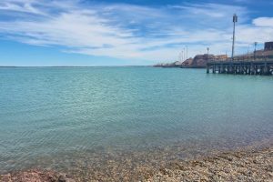 Prefectura difundió medidas de prevención para bañistas y actividades náuticas