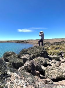 Se dio un nuevo paso para la conservación del Macá Tobiano en Santa Cruz