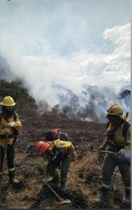 Información Importante: Actualización sobre el incendio en el Parque Nacional Los Glaciares